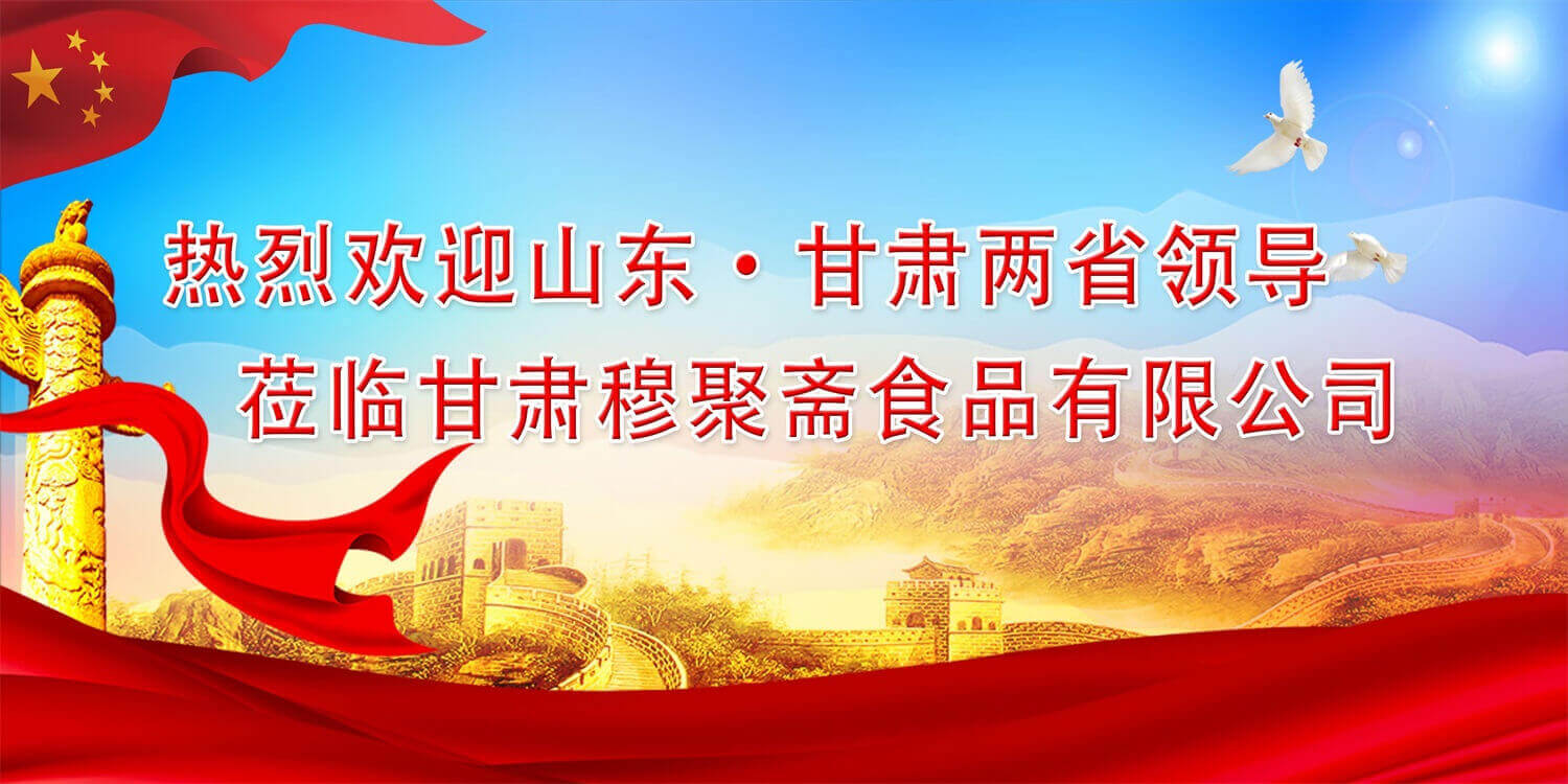 山東省、濟南市黨政代表團蒞臨甘肅穆聚齋食品有限公司